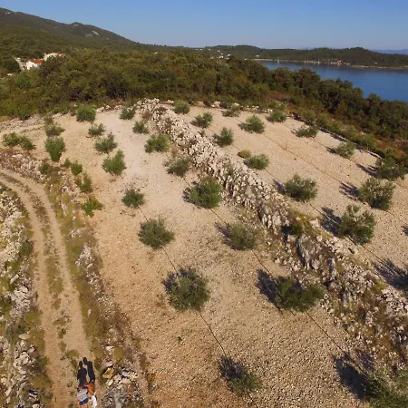 Stanisic Appartement