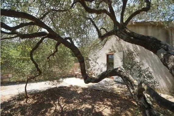 Apartment Stanisic Kneza